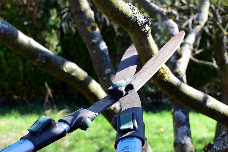 Fruit-Tree Pruning